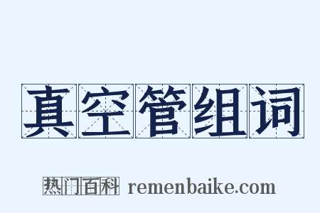 真空管组词是什么意思的图片